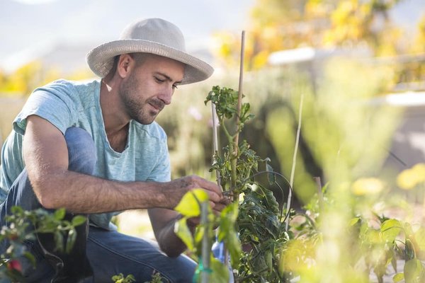 Quelles sont les tendances clés de l'industrie alimentaire et des boissons en 2024 ?